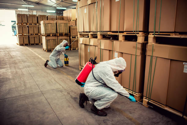 Best Flea Control Services  in Bogalusa, LA