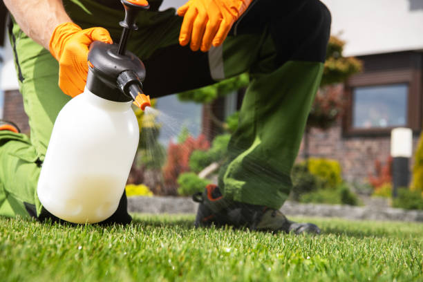 Best Pest Control for Homes  in Bogalusa, LA