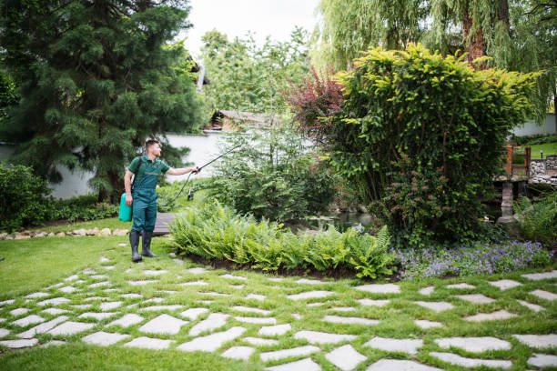 Best Commercial Pest Control Services  in Bogalusa, LA