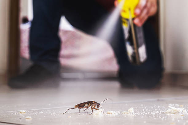 Insect Control in Bogalusa, LA