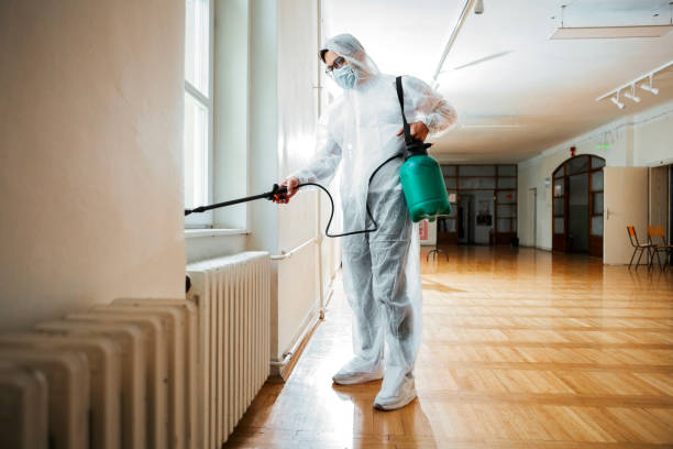 Best Bed Bug Extermination  in Bogalusa, LA