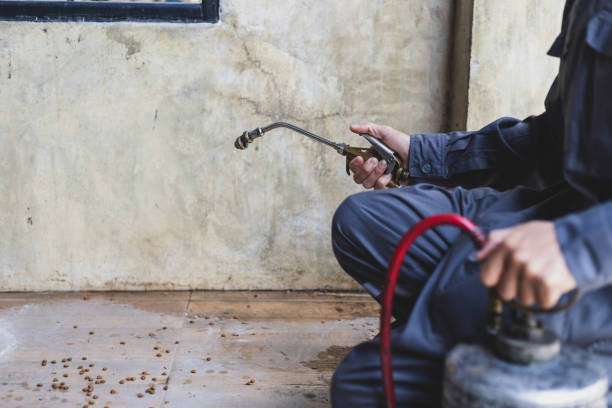 Reliable Bogalusa, LA Pest Control Solutions